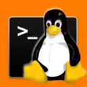 XLinux terminal for command line  screen for extension Chrome web store in OffiDocs Chromium