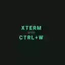 xterm ctrl w capture  screen for extension Chrome web store in OffiDocs Chromium
