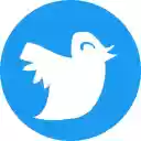 X to Twitter  screen for extension Chrome web store in OffiDocs Chromium