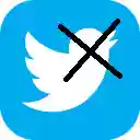 X(Twitter)Follows and Fans Scraper  screen for extension Chrome web store in OffiDocs Chromium