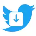 X/Twitter Image Downloader  screen for extension Chrome web store in OffiDocs Chromium