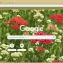 Yarrow Red  screen for extension Chrome web store in OffiDocs Chromium