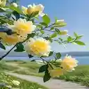 yellow camellia wallpaper  screen for extension Chrome web store in OffiDocs Chromium