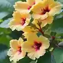 Yellow Hibiscus Wallpaper  screen for extension Chrome web store in OffiDocs Chromium
