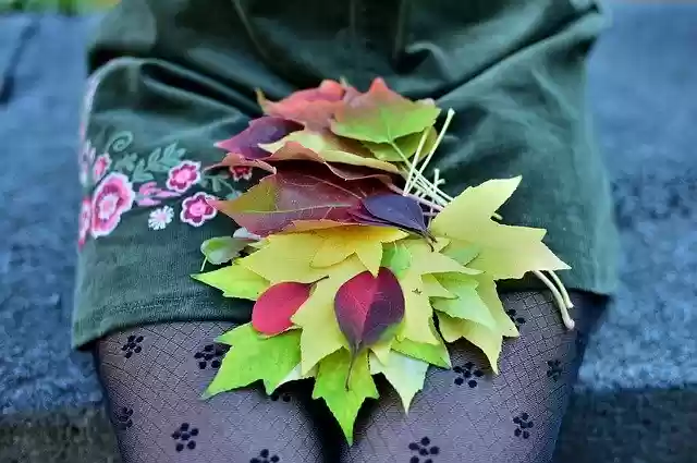 Free download Yellow Leaves Leaf Red -  free photo or picture to be edited with GIMP online image editor