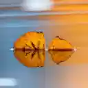 Yellow leaves on the water  screen for extension Chrome web store in OffiDocs Chromium