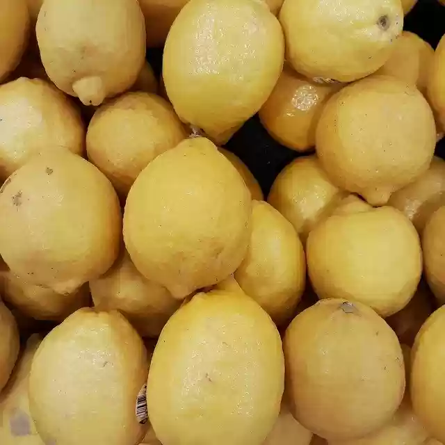 Free download Yellow Lemon Fruit -  free photo or picture to be edited with GIMP online image editor