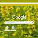 Yellow Loosestrife  screen for extension Chrome web store in OffiDocs Chromium