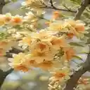 yellow magnolia wallpaper  screen for extension Chrome web store in OffiDocs Chromium
