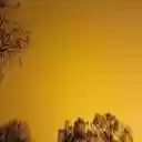 Yellow night sky  screen for extension Chrome web store in OffiDocs Chromium