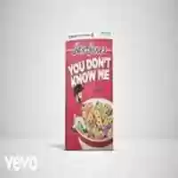 Free download You Dont Know Me (feat. RAYE) free photo or picture to be edited with GIMP online image editor