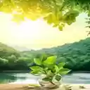 young banyan tree wallpaper  screen for extension Chrome web store in OffiDocs Chromium