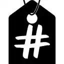 YouTube Tags  Captions  screen for extension Chrome web store in OffiDocs Chromium