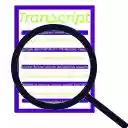 Youtube Transcript Search  screen for extension Chrome web store in OffiDocs Chromium