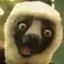 Zaboomafoo  screen for extension Chrome web store in OffiDocs Chromium