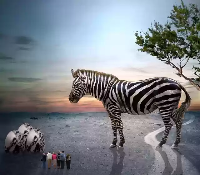 Free download zebra egg people animal mammal free picture to be edited with GIMP free online image editor