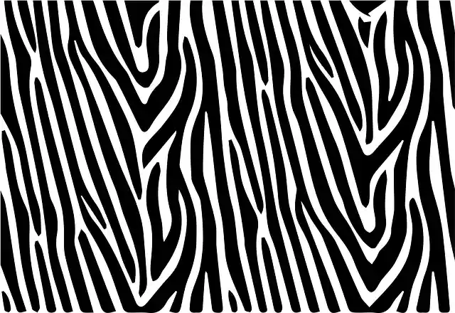 Free download Zebra Stripes Striped - Free vector graphic on Pixabay free illustration to be edited with GIMP free online image editor
