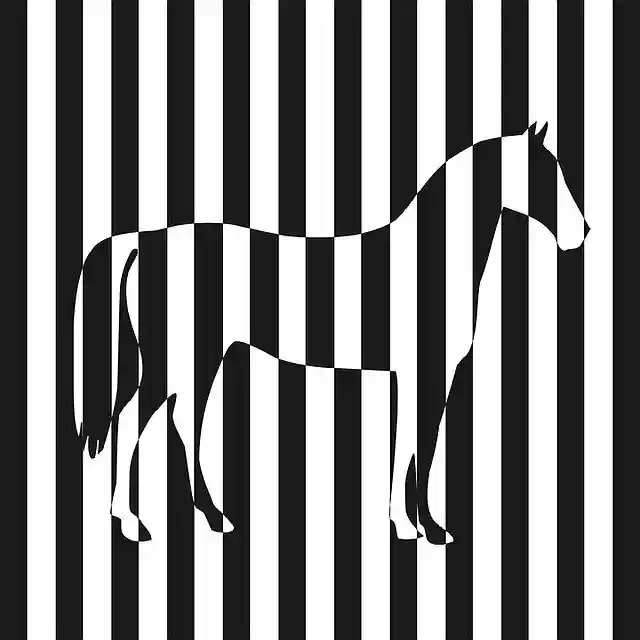 Free download Zebra The Horse Vector -  free illustration to be edited with GIMP free online image editor