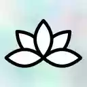 ZenBlock  screen for extension Chrome web store in OffiDocs Chromium