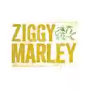 Ziggy Marley Theme-Bildschirm für die Erweiterung des Chrome-Webshops in OffiDocs Chromium