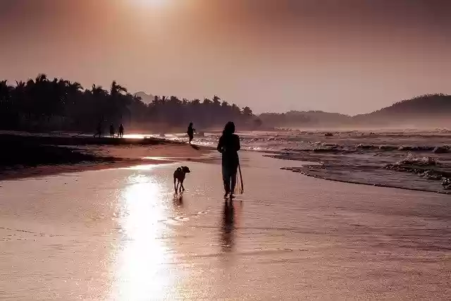 Free download zihuatanejo ixtapa beach sea ocean free picture to be edited with GIMP free online image editor