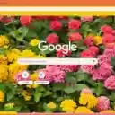 Zinnia Lilliput  screen for extension Chrome web store in OffiDocs Chromium