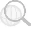 Zoom on doubleclick  screen for extension Chrome web store in OffiDocs Chromium