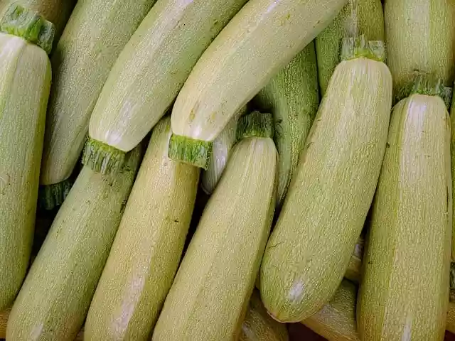 Free download zucchini vegetables food garden free picture to be edited with GIMP free online image editor