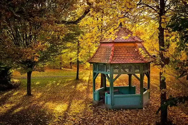 Descarga gratuita Zwettl Autumn Leaves: foto o imagen gratuita para editar con el editor de imágenes en línea GIMP